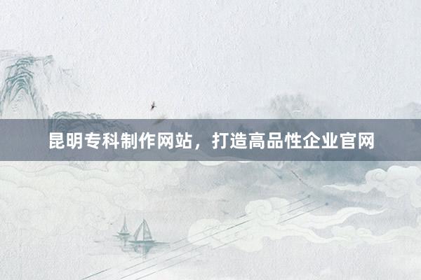 昆明专科制作网站，打造高品性企业官网