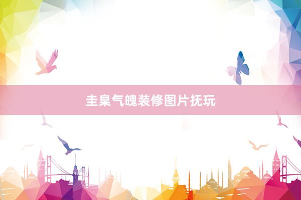 圭臬气魄装修图片抚玩
