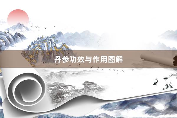 丹参功效与作用图解